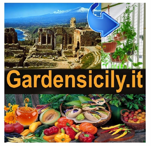 Garden Sicily non solo giardino